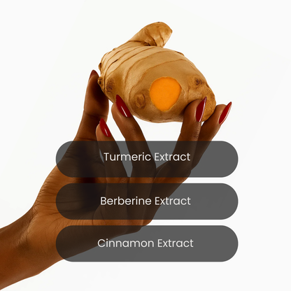Sukti's Turmeric Patches